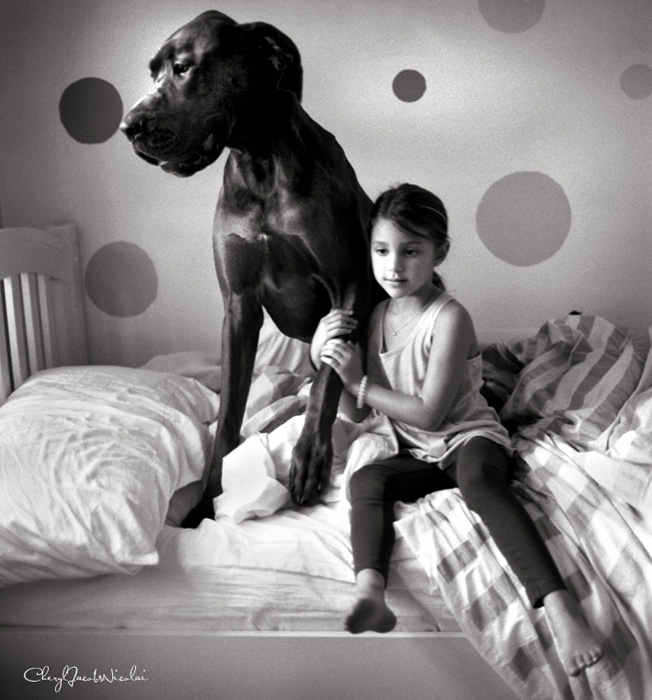 Little girl, big puppy