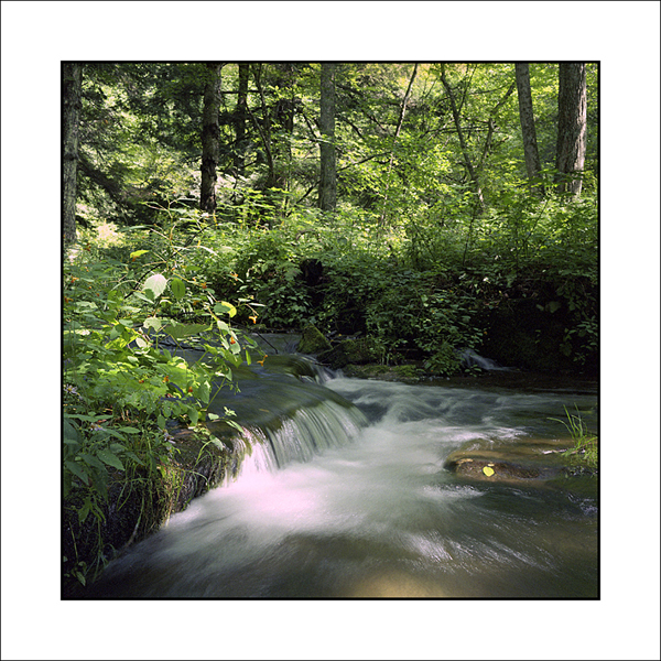 Little Indian Run #2
