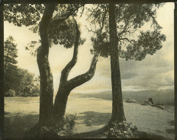 Little Mountain, gum print from Titan neg