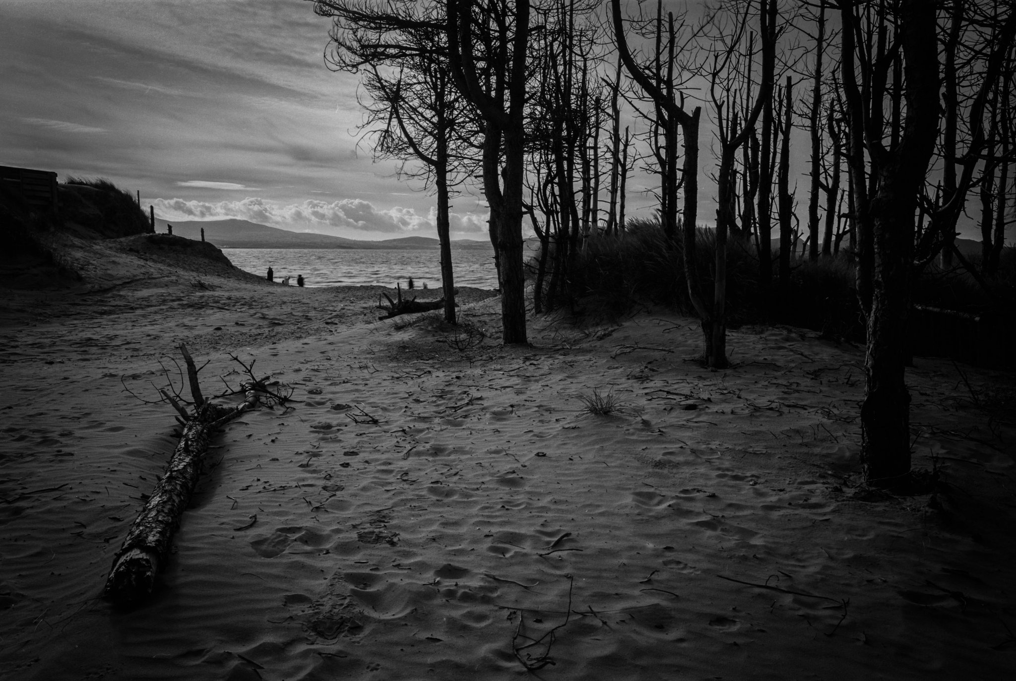 LLanddwyn Beach
