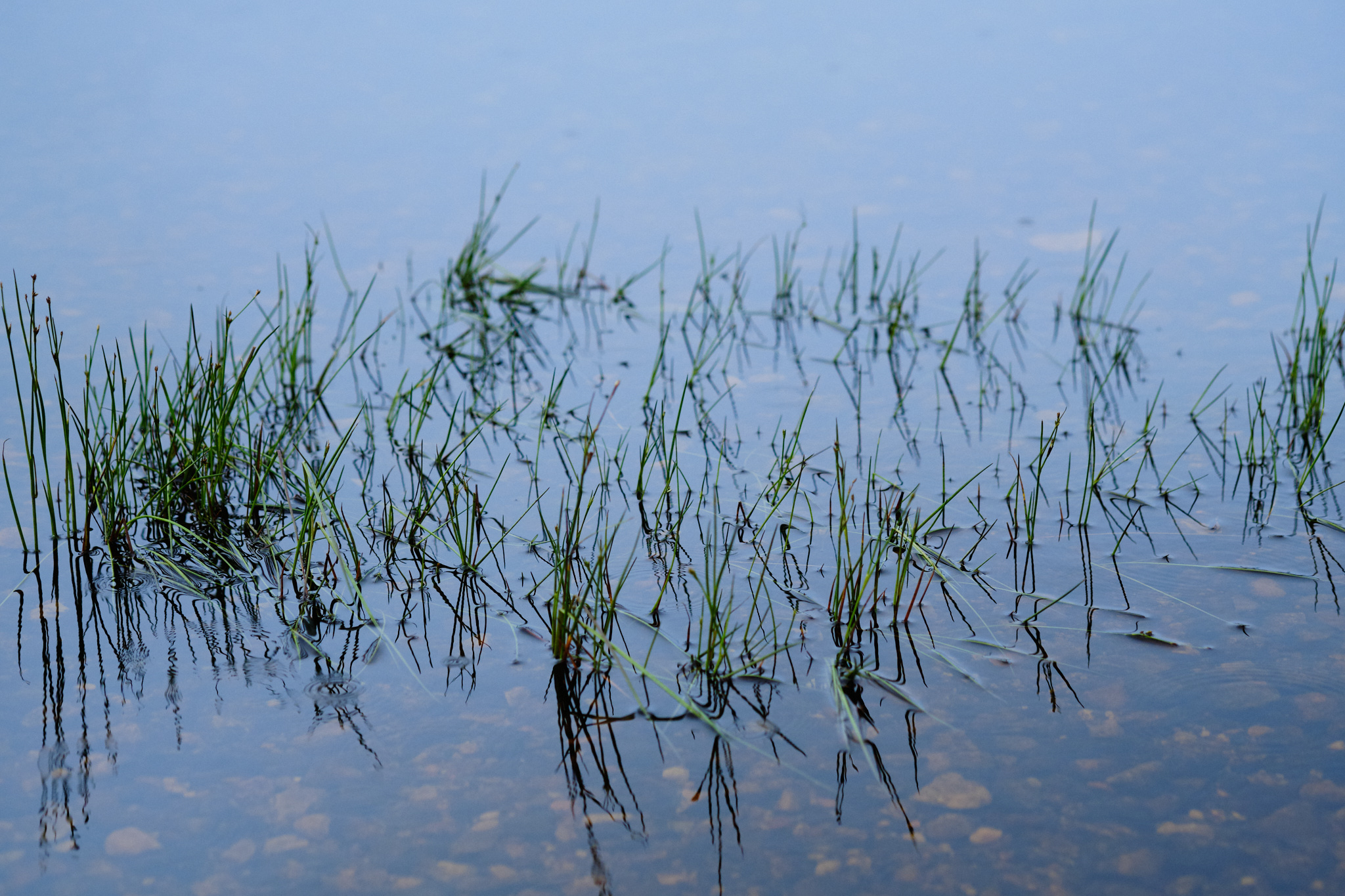Loch detail - 2