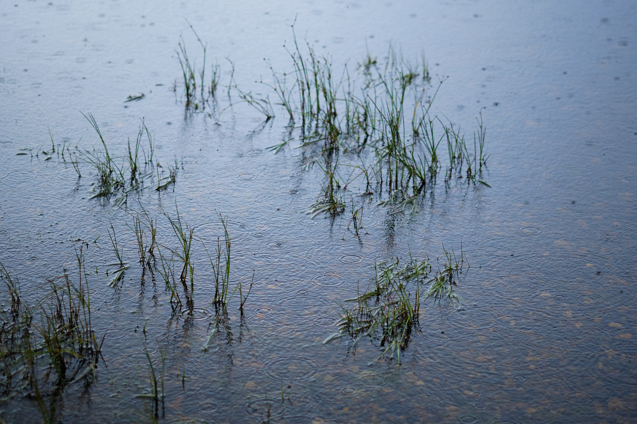Loch detail - 3