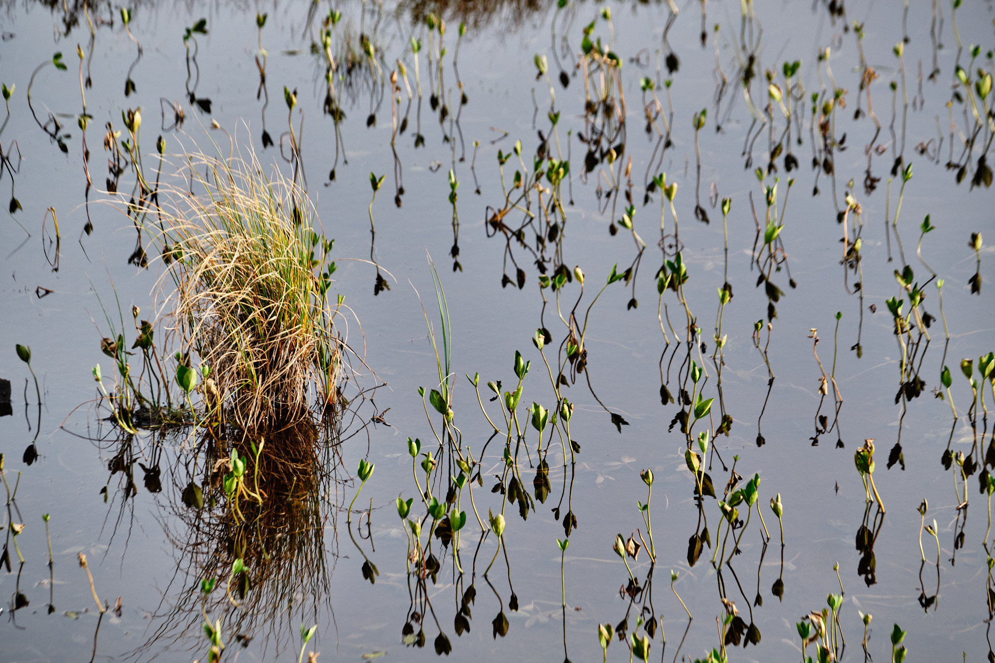 Loch detail - 4