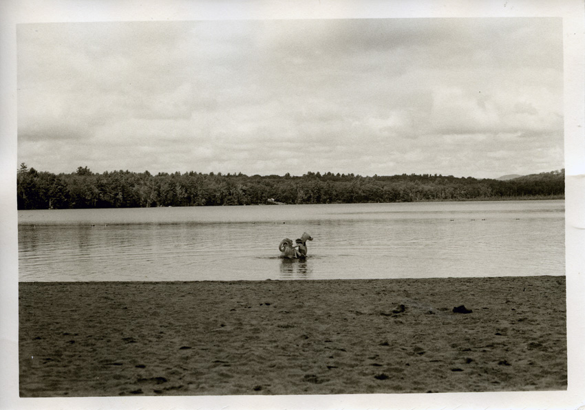 Loch Ness Monster