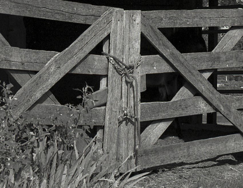 Locked Gate850 X 659