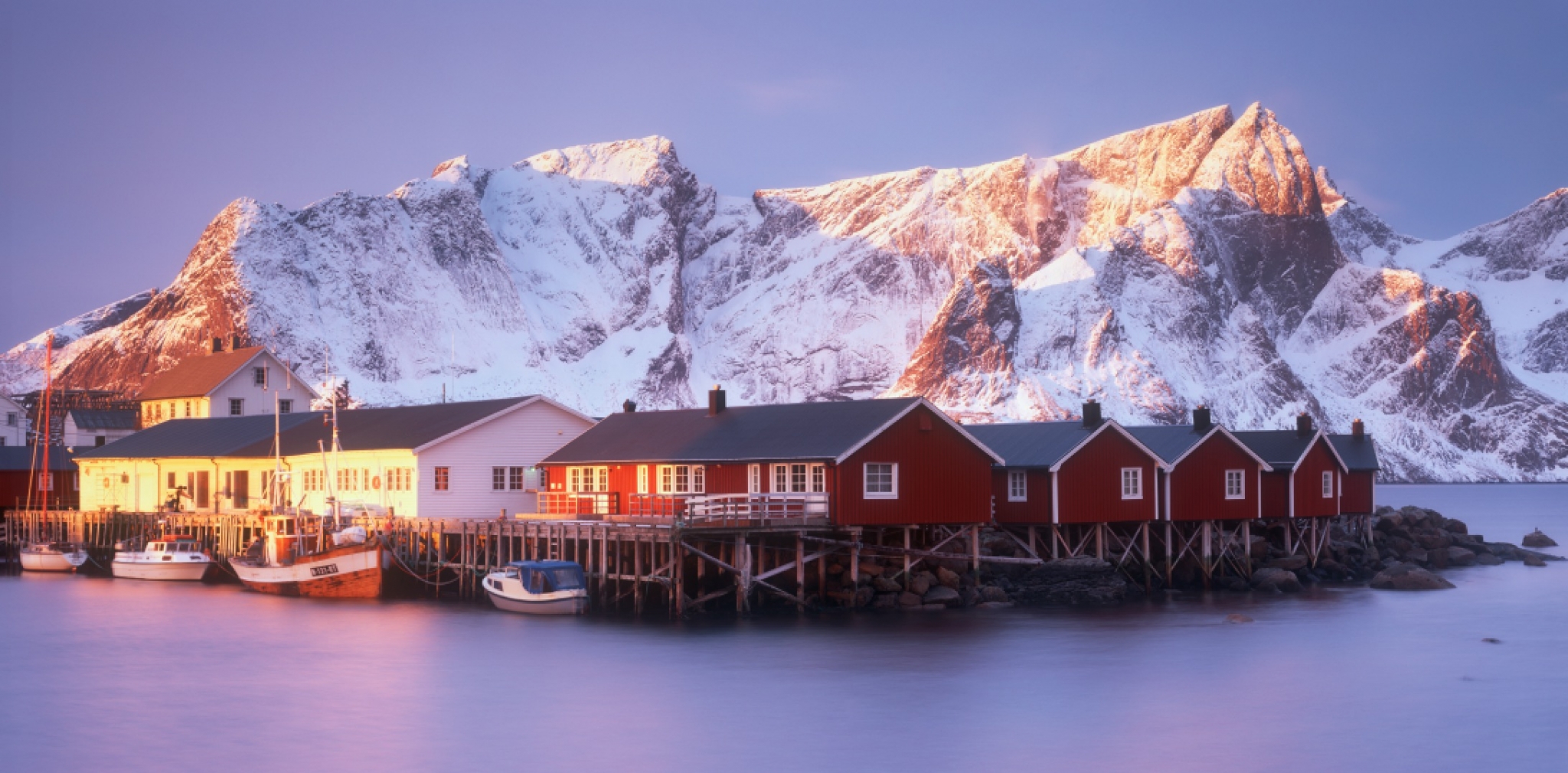 Lofoten Gold