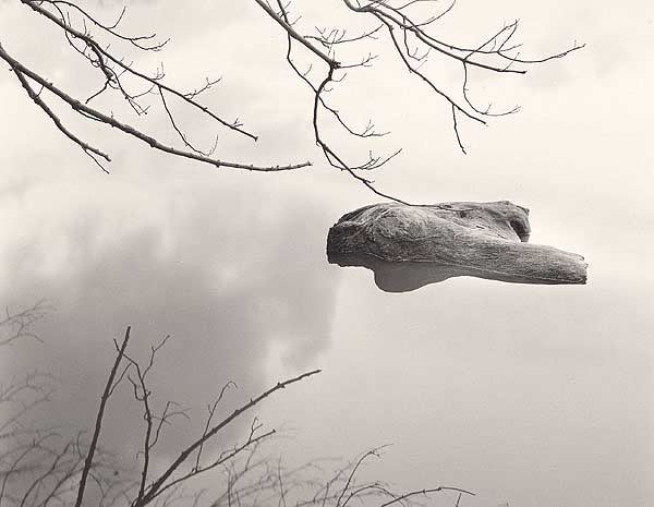 Log Aloft, Eagle Creek