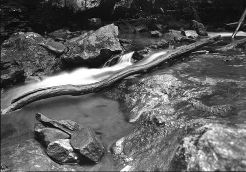 log creek