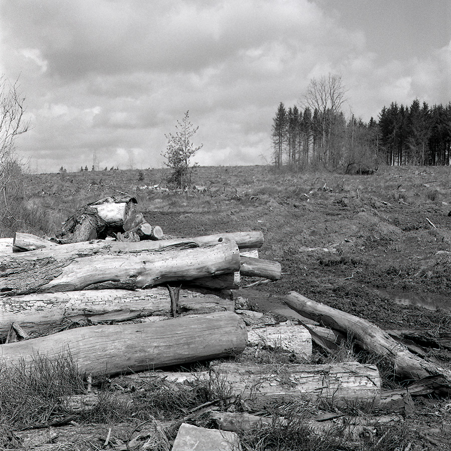 Logging