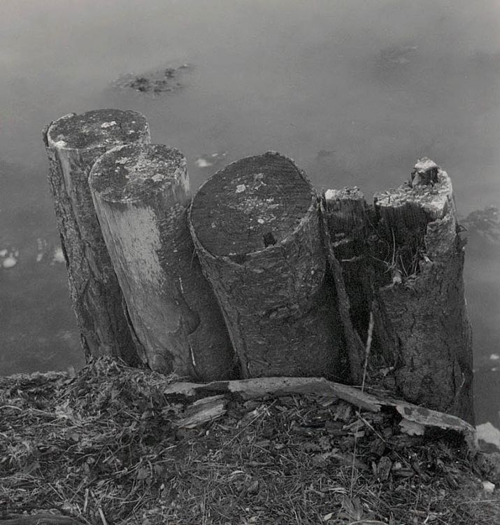 Logs