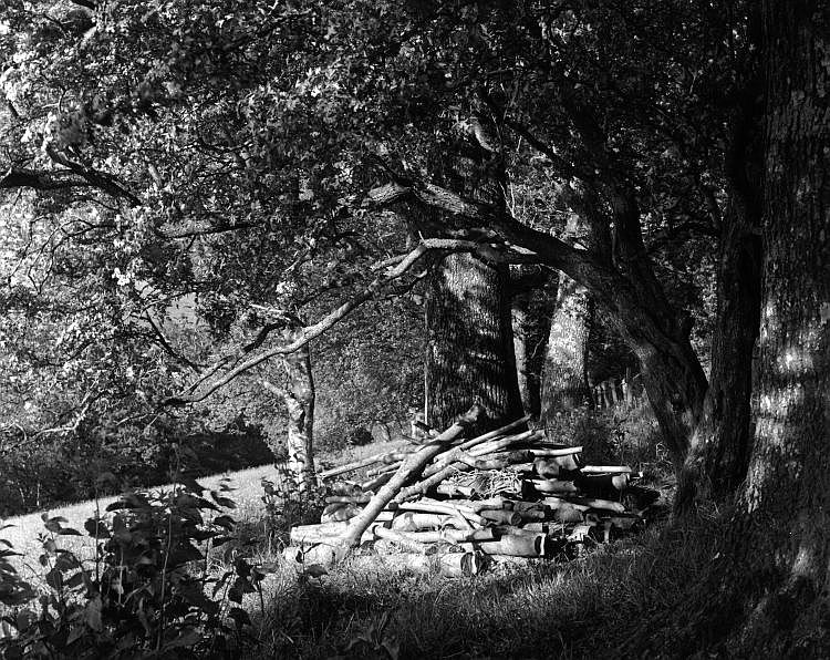 Logs