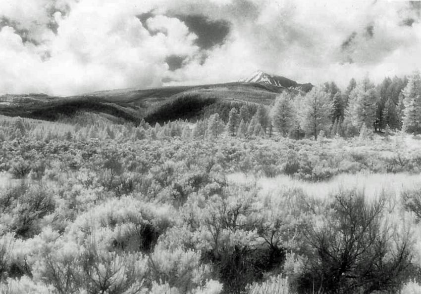 Lone Mountain, Montana