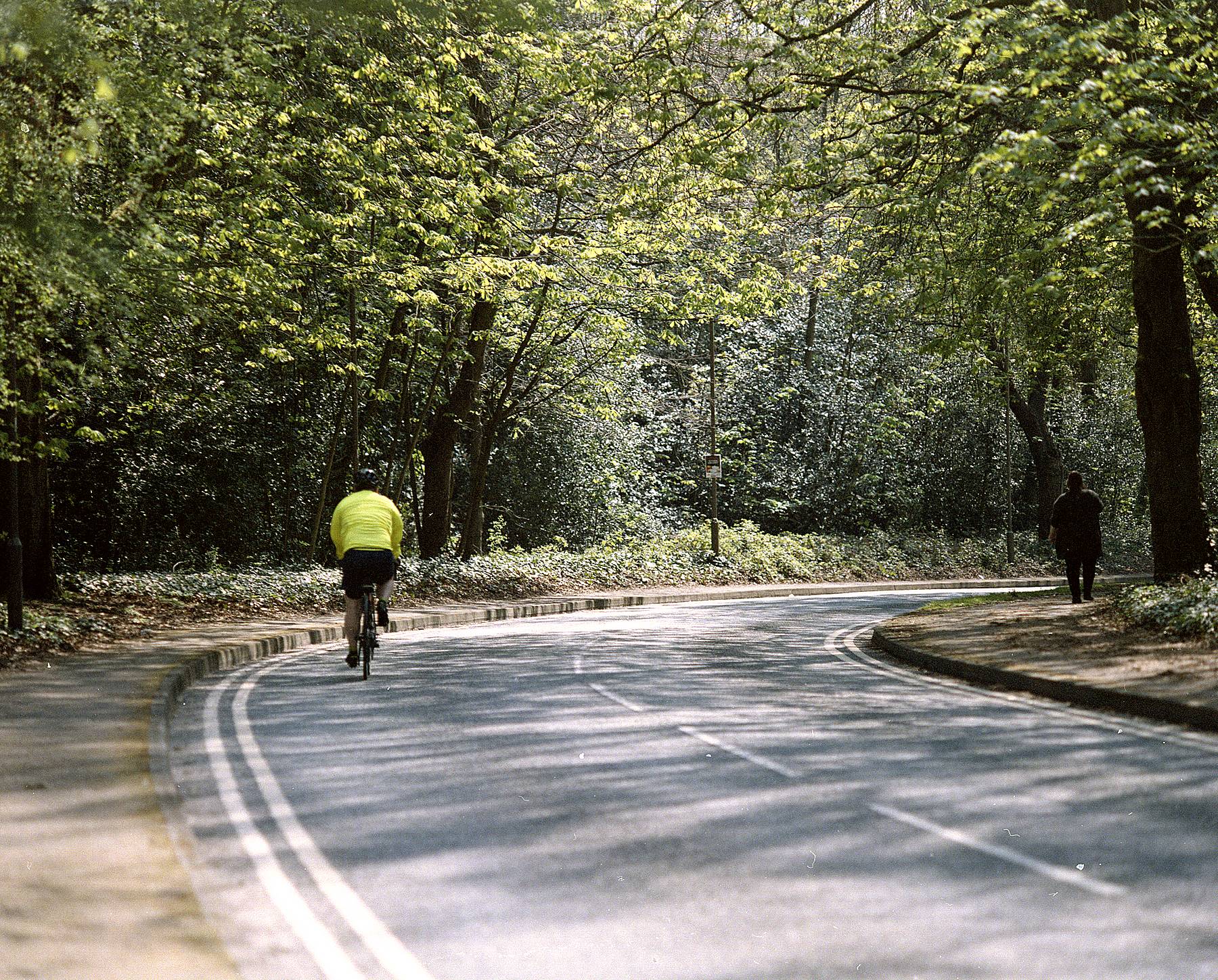 Lone Rider