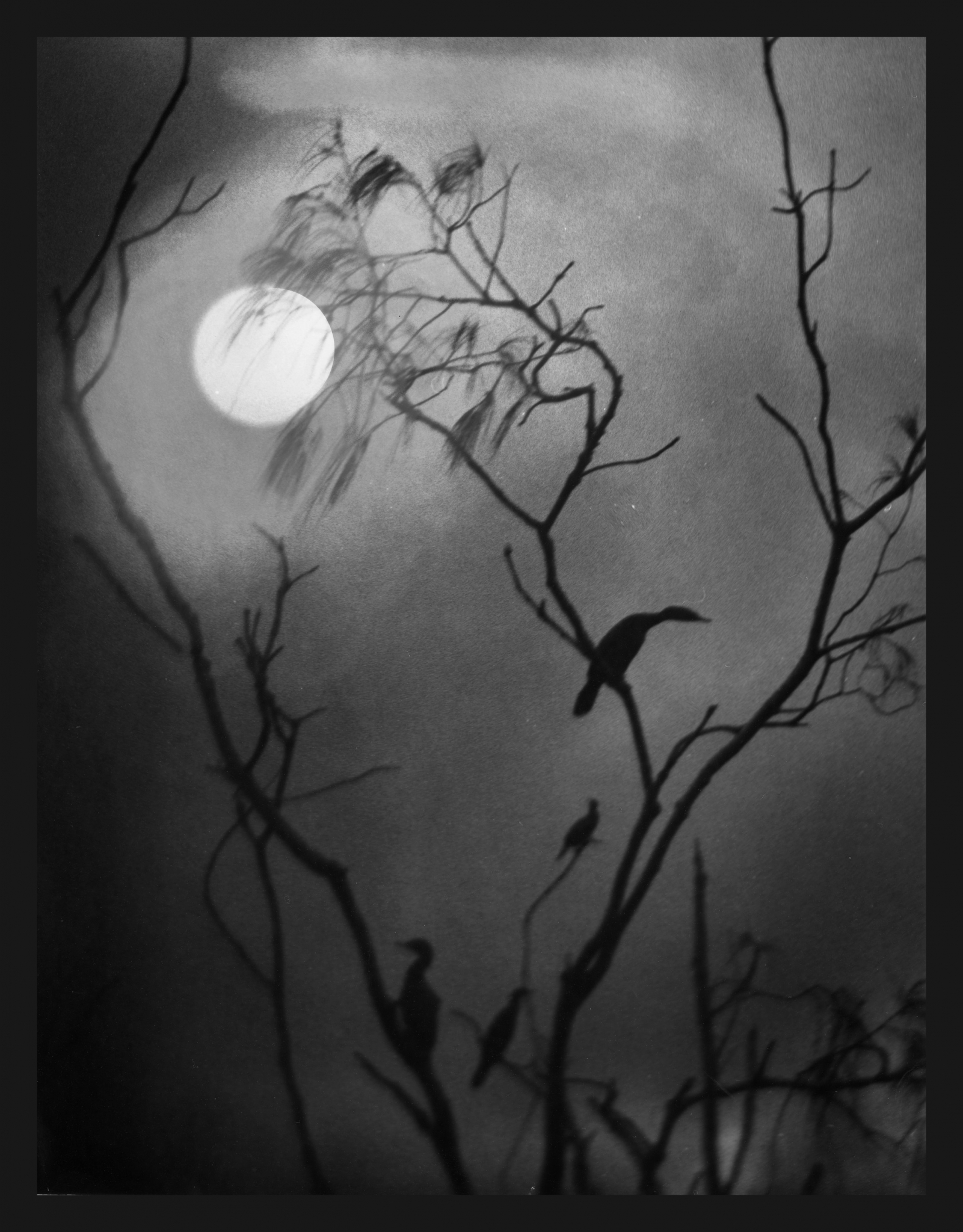 Long are the Nights