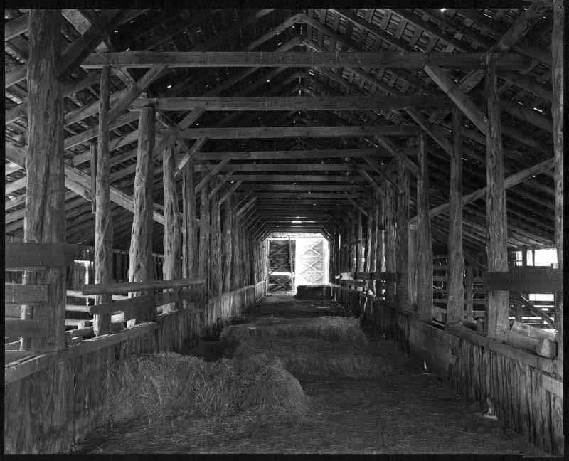 Long Barn at P Ranch