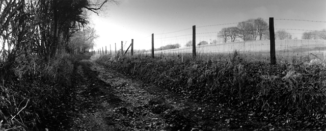 Long Road