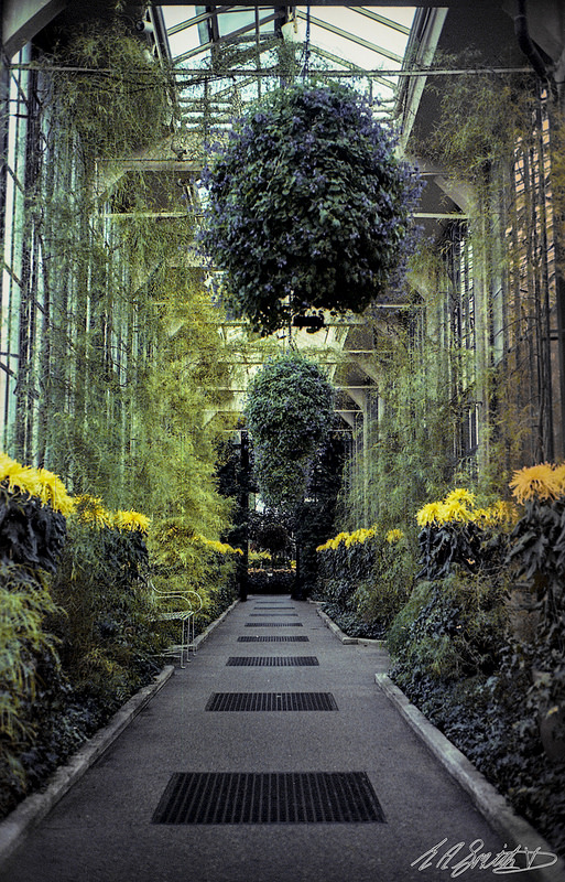 Longwood Gardens