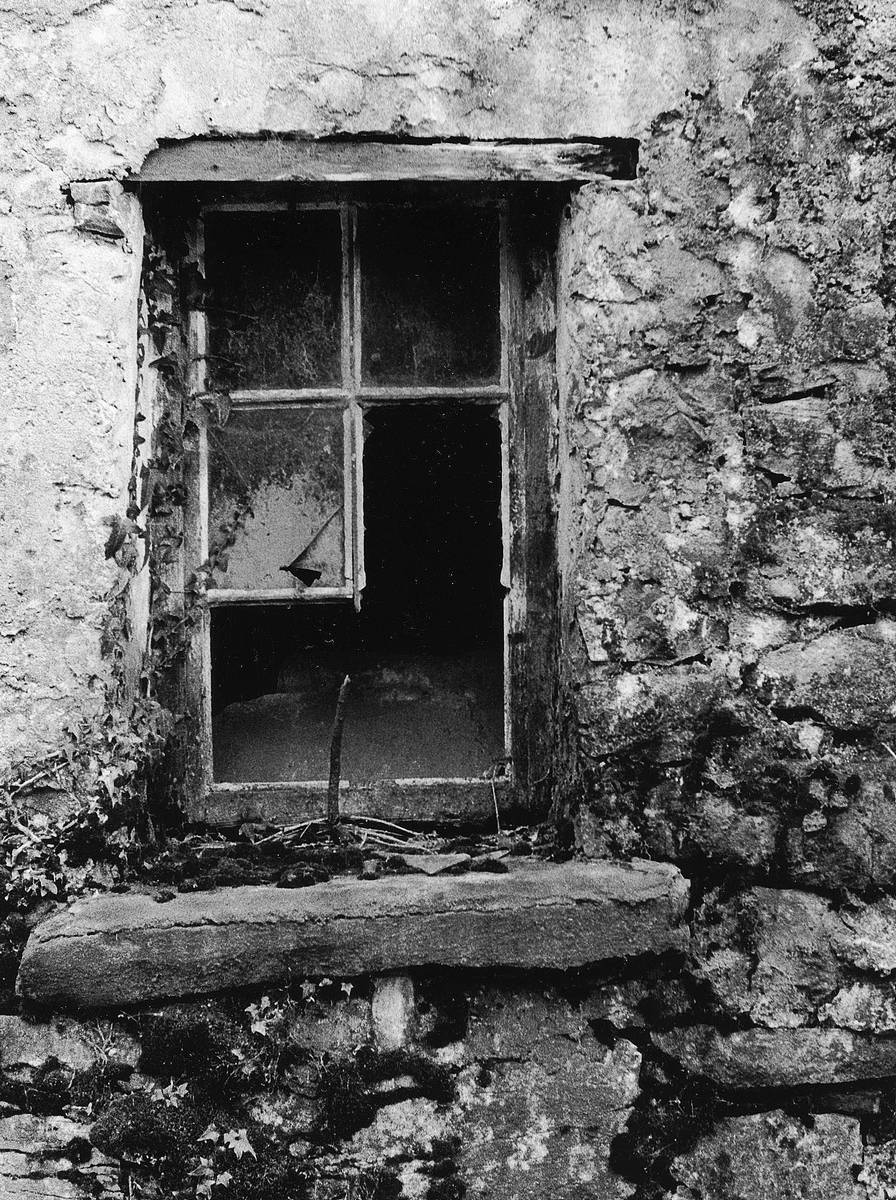 Look Thro' Any Window # 2