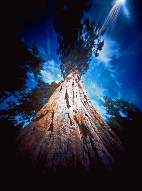 Look Up