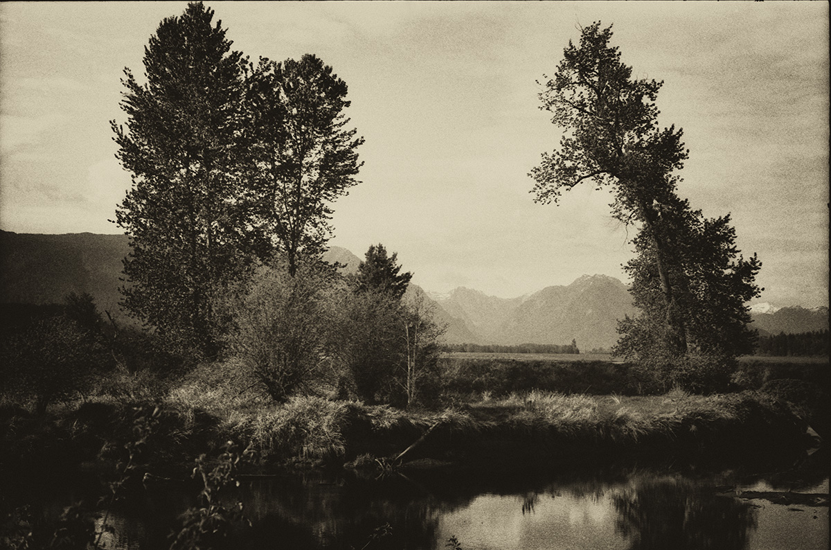 Looking north to the mountains.