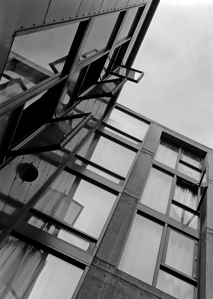 Looking Up