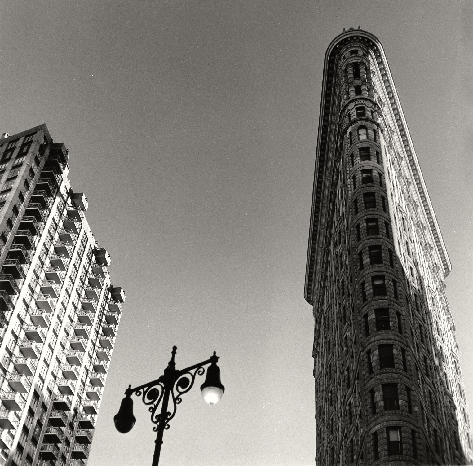 Looking Up