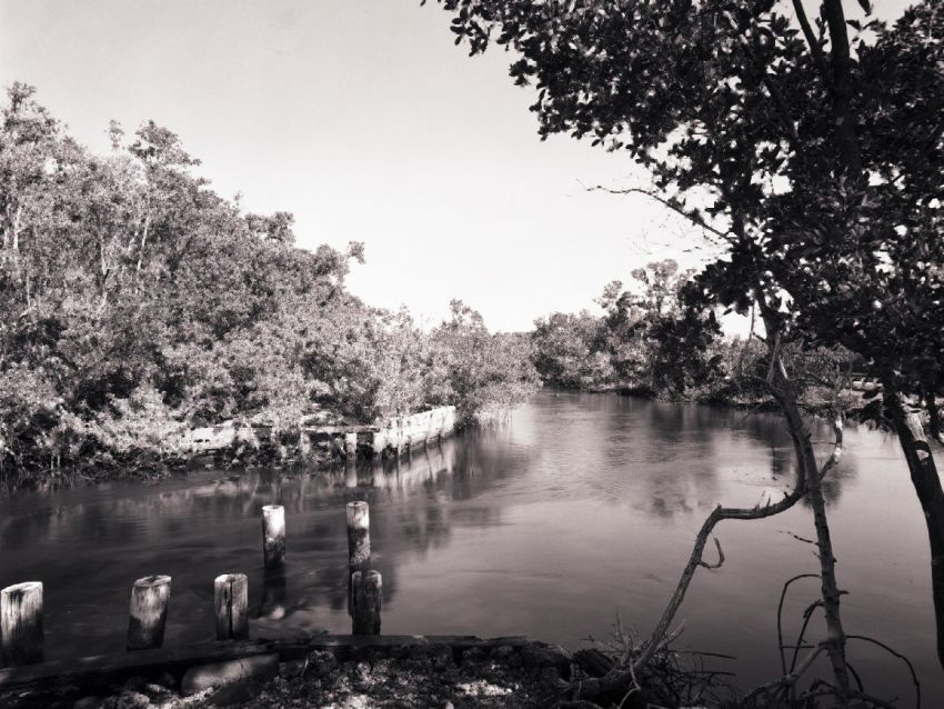 lost bridge, everglade city fl, 2006