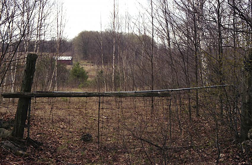 Lost Farm