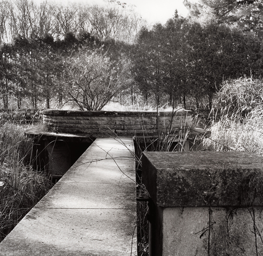 Lost Garden
