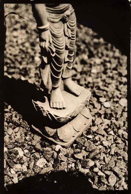 Lotus feet