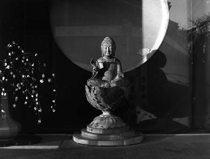 lotus sitter