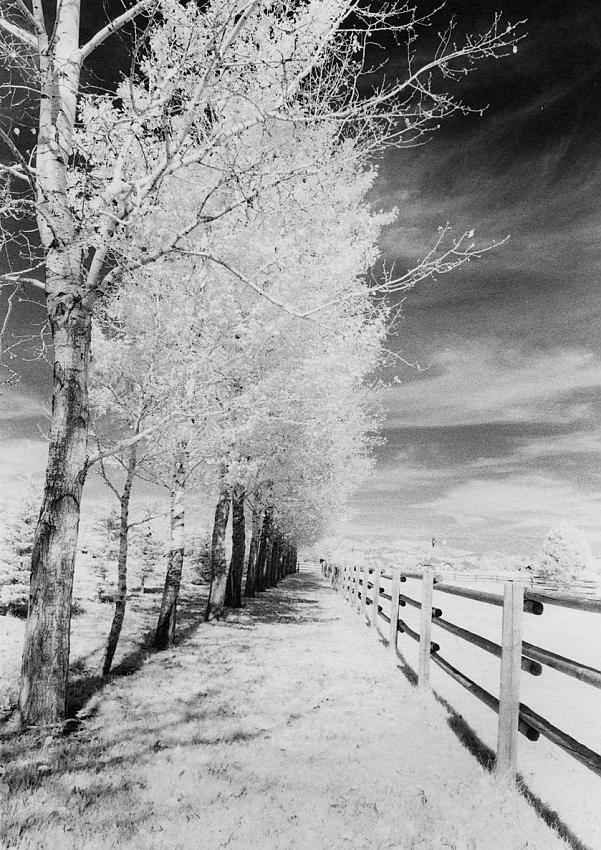 Lou's Ranch