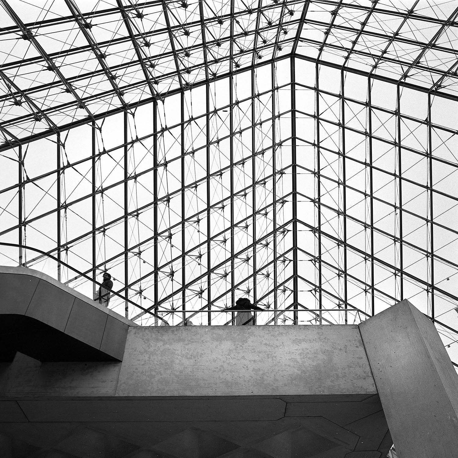 Louvre Look Up