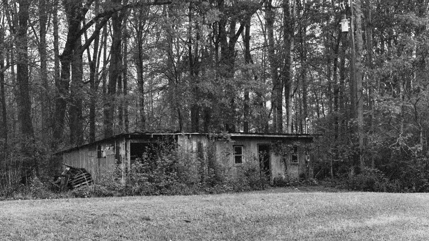 Love Shack