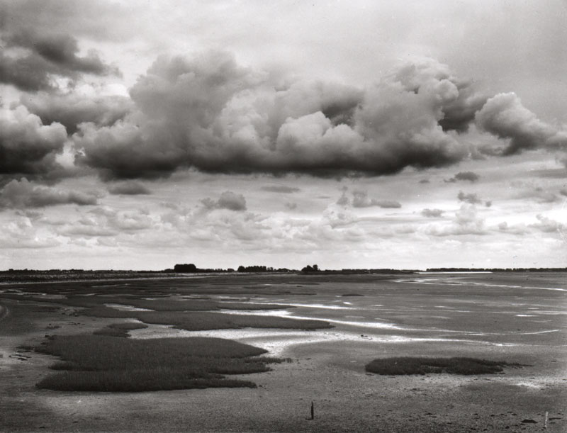 Low tide in Sealand