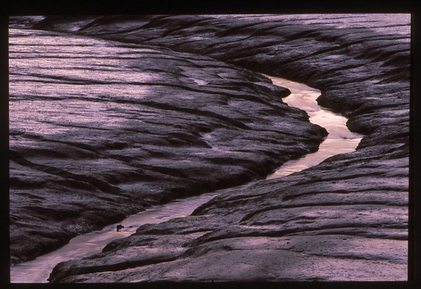 Low Tide on the Creek.