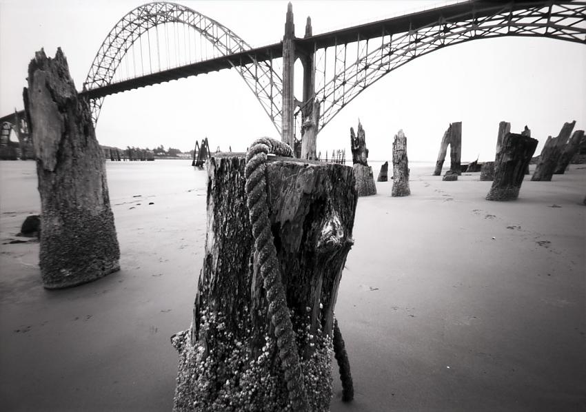 low tide outing--yaquina bay bridge