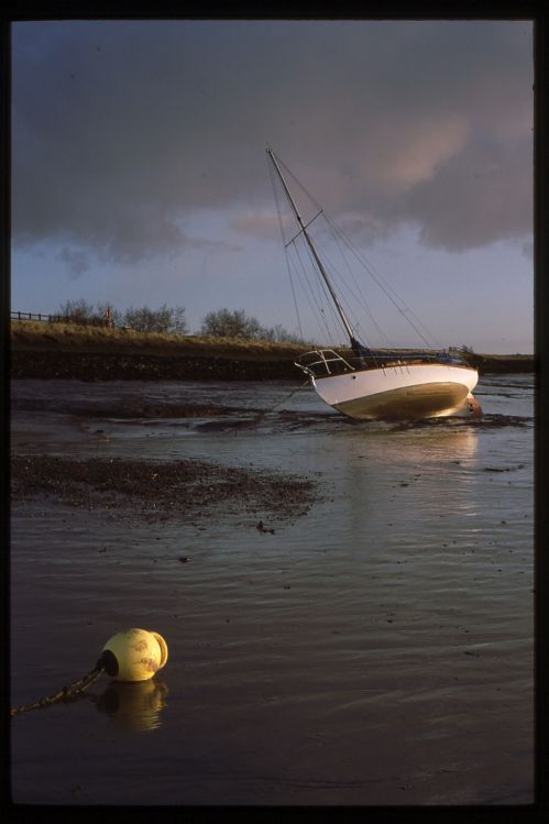 Low Tide