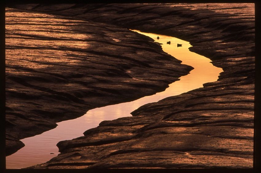 Low Tide.