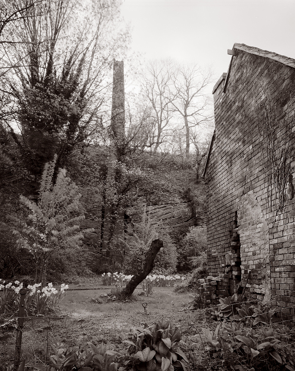 Lower Forge