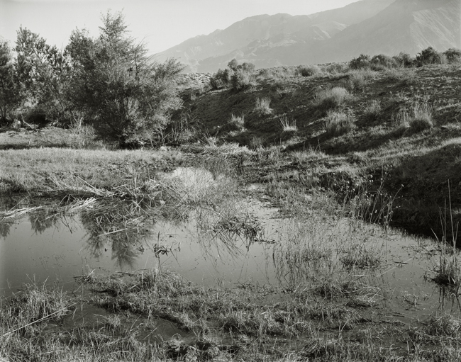 Lower Owens River, 2007