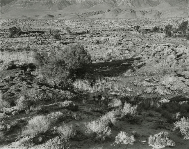 Lower Owens River, 2007