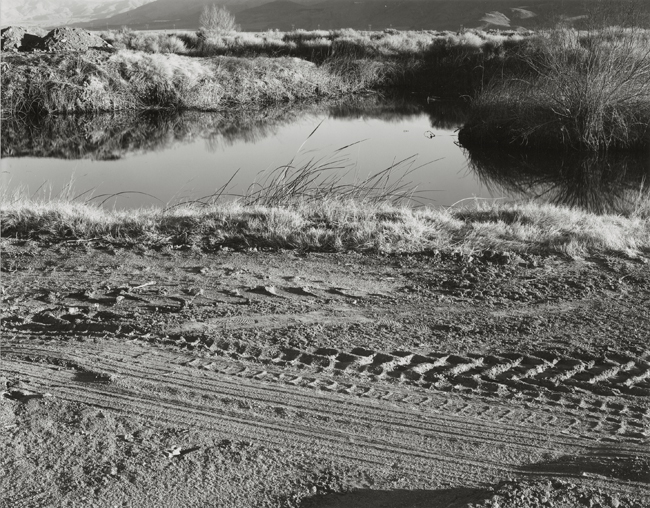 Lower Owens River, January, 2007