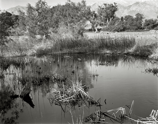 Lower Owens River, June, 2007