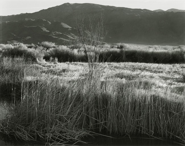 Lower Owens River, Owens Valley, California, 2007