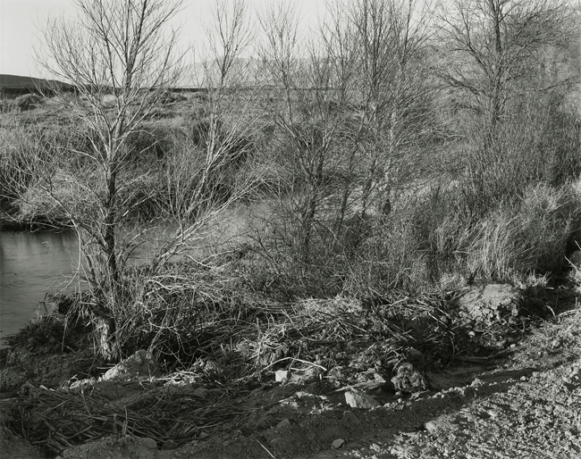 Lower Owens River, Owens Valley, California, 2007