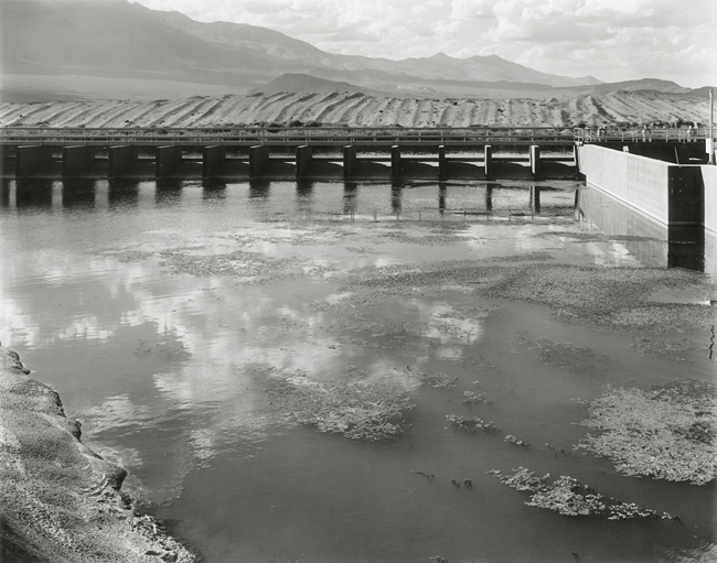Lower Owens River, September, 2007