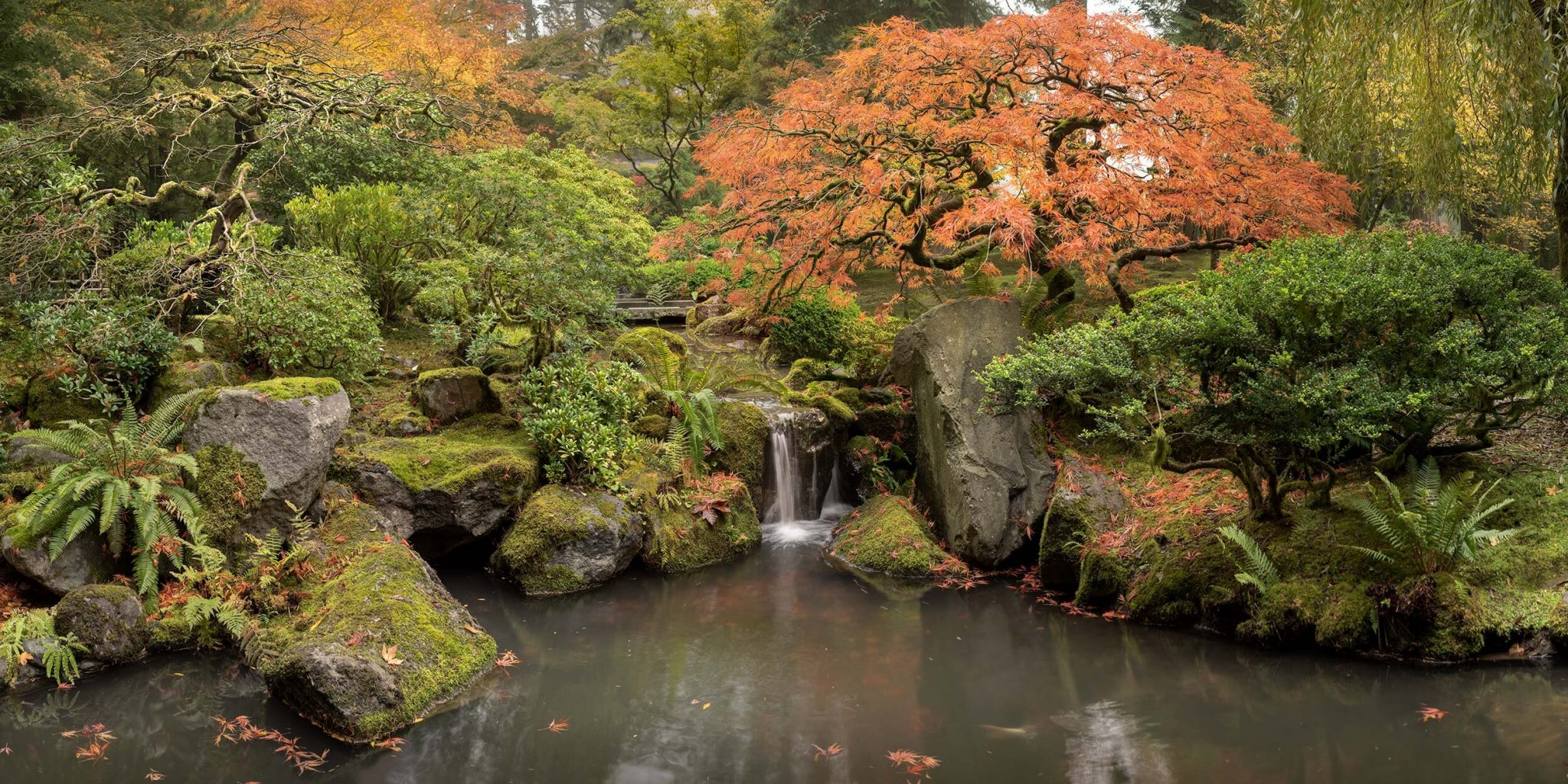 Lower Pond, Portland Japanese Garden, Fall 2019