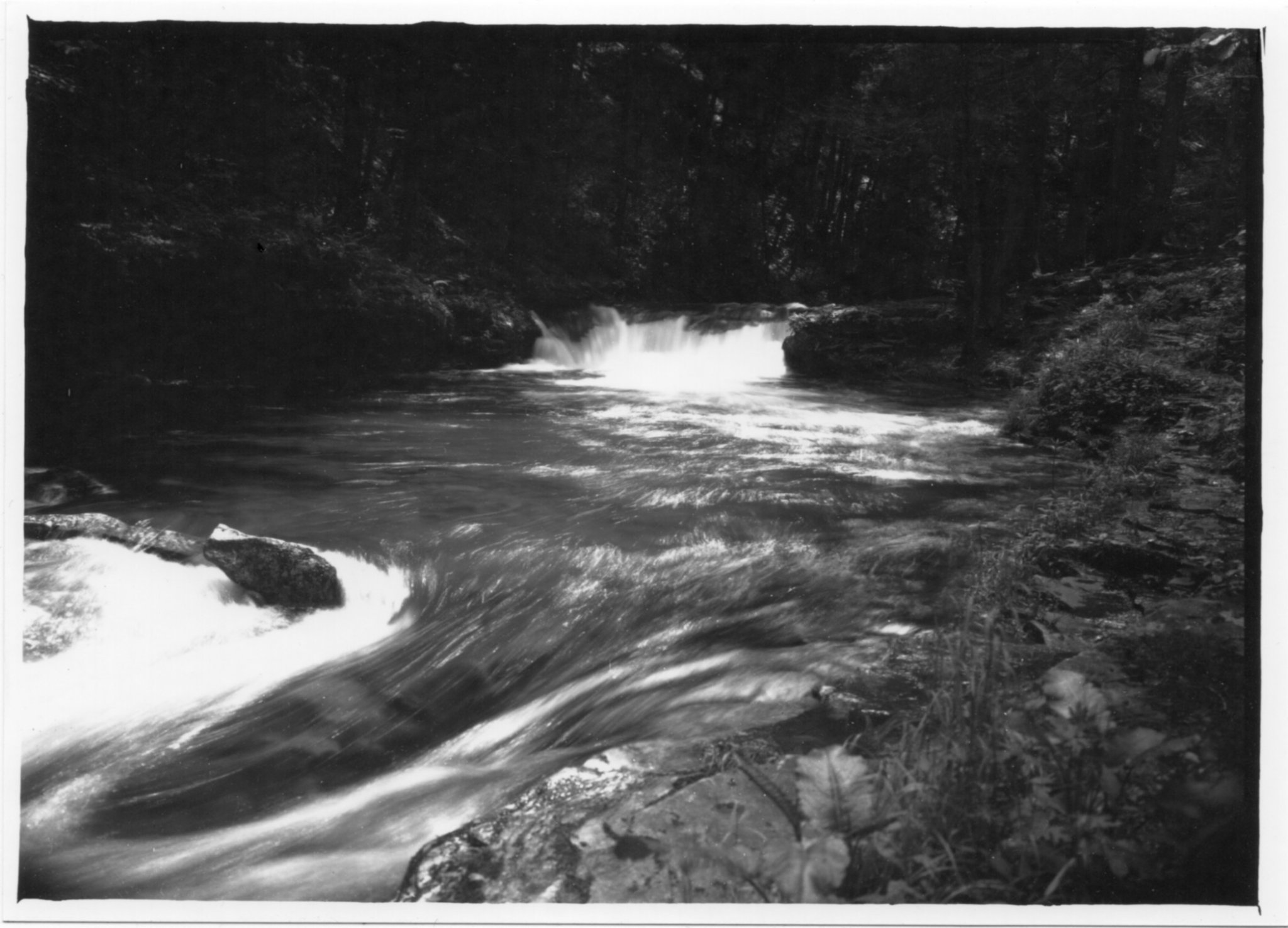 Lower Wykoff