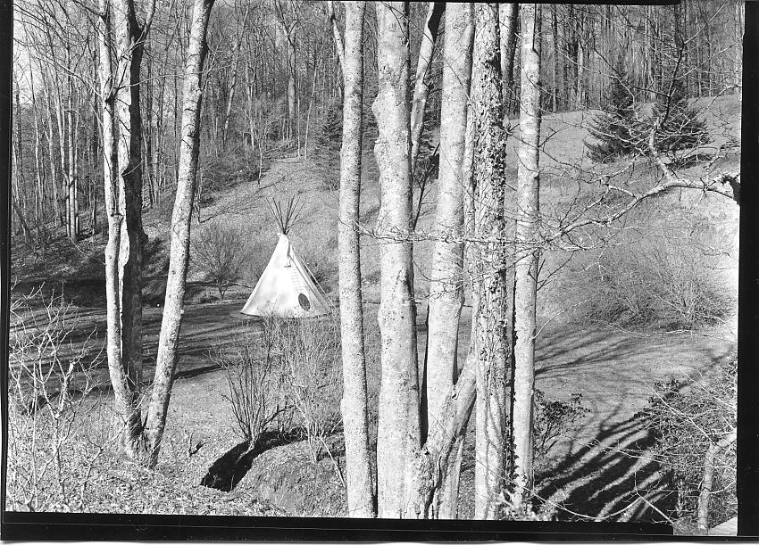 L's TP Back yard